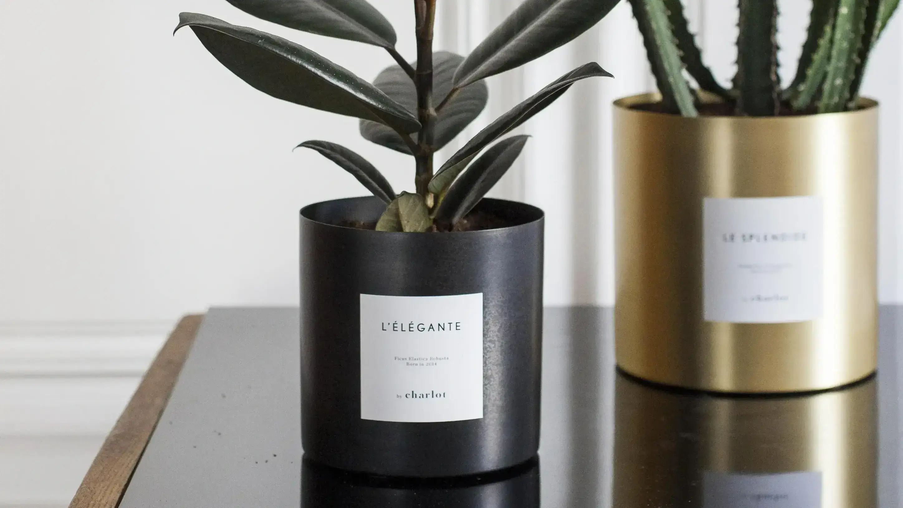 By Charlot site preview